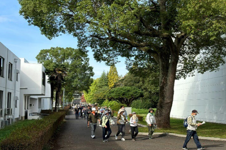 野田むらさきの里ふれあいウオーク２０２５（Cリーグ）　2025/10/26(日)